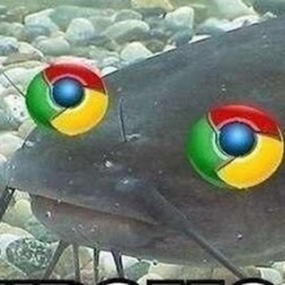 Что она несёт?