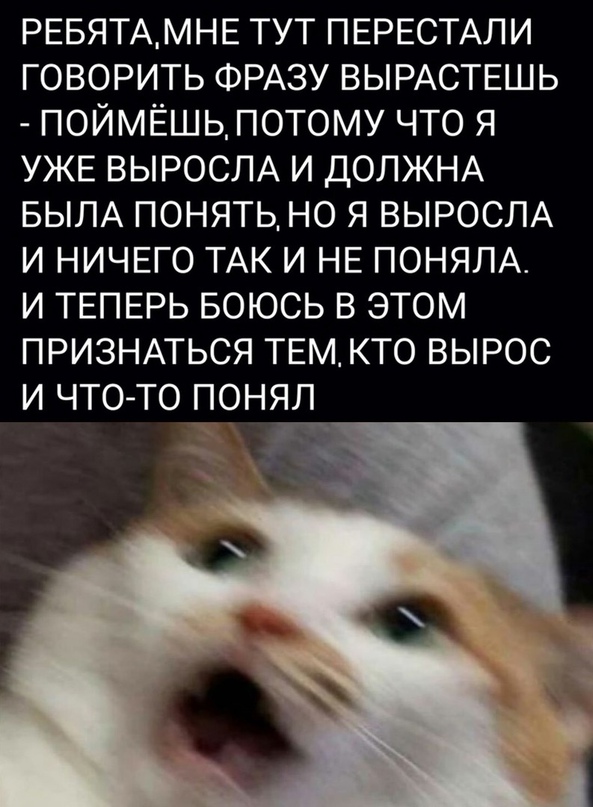 Весёлый полтишок 6.06