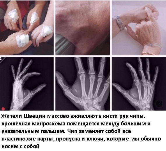 Так себе картинки 10.08.21