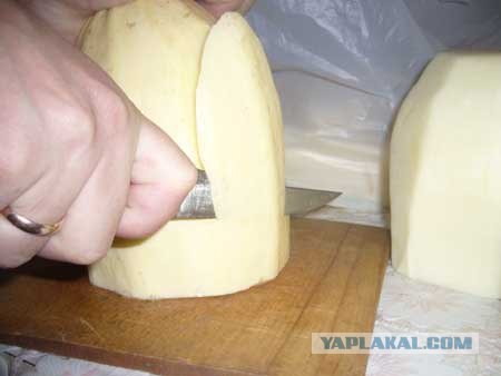 Вся правда о КАБАЧКАХ и ЦУККИНИ