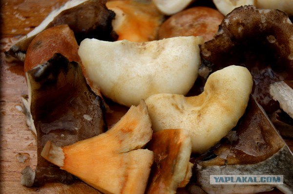 Осень в банках