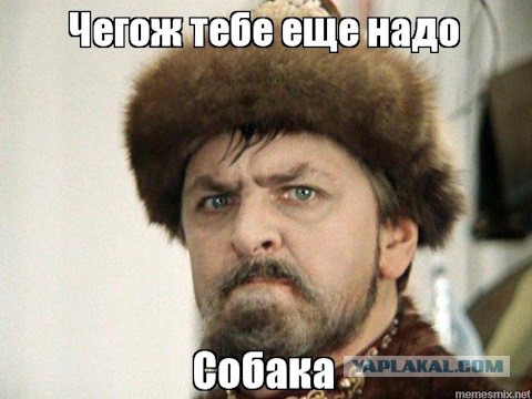 Мир высокой моды из Москвы