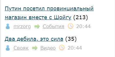 Путин посетил провинциальный магазин вместе с Шойгу