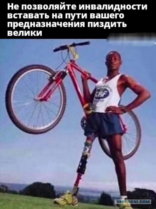 Бредзона 21.11.2021