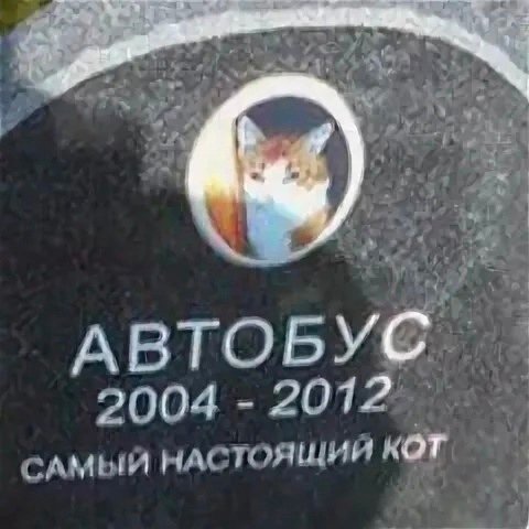Так себе картинки 26.05.22