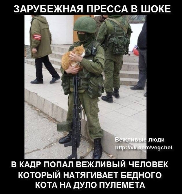 Мейнкун перебежчик, больше не кiт