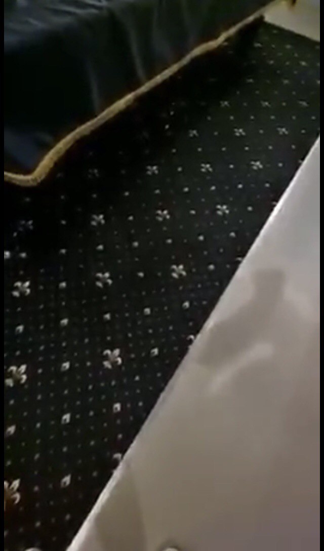 Вот это заведение по мне!