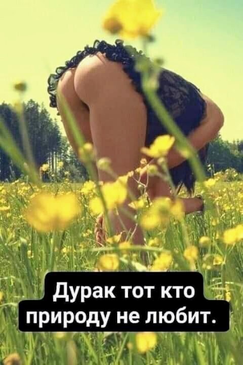 Немного картинок для настроения - 119