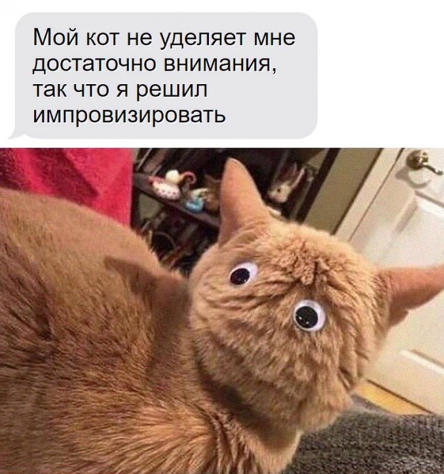 Немного картинок для настроения - 119