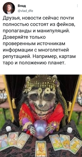 Картинки и мемы для настроения - 119