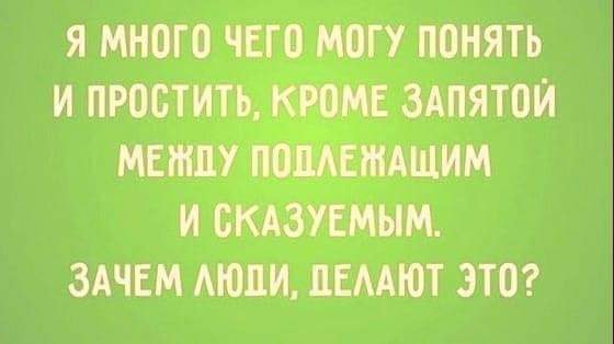 Весёлый полтишок 29.12.22