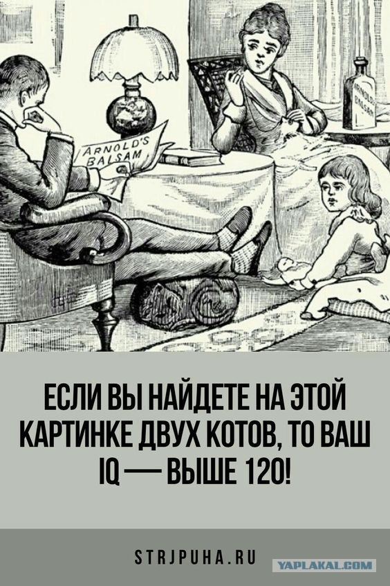 Прикольные и просто красивые картинки 21.02.2023