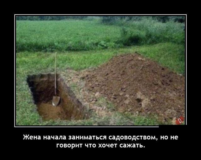Картинок вам