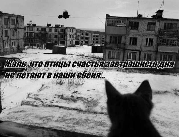 Приятное⁠⁠