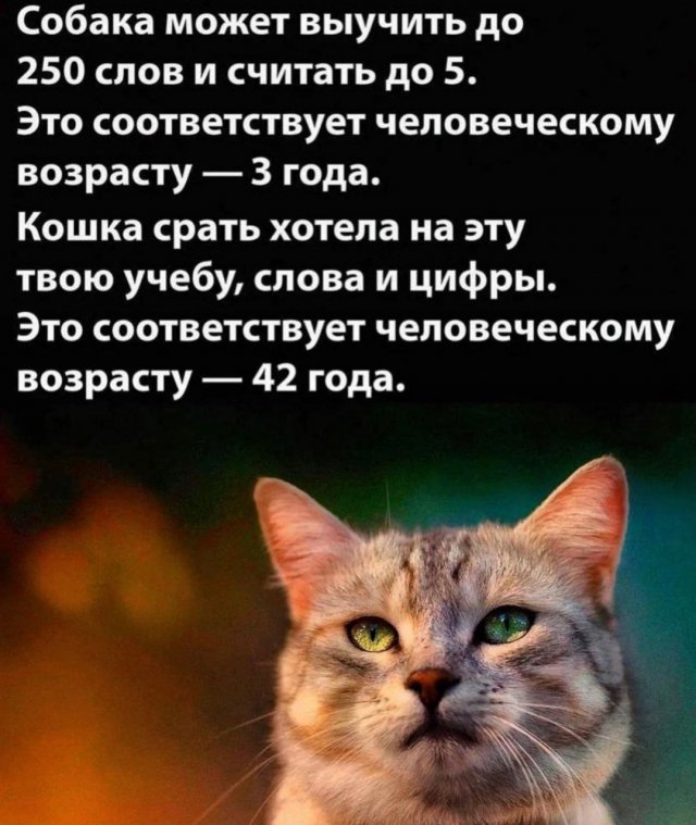 Картинки и мемы, всяко разно - 183