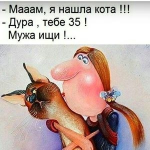 Откуда берутся женоненавистники