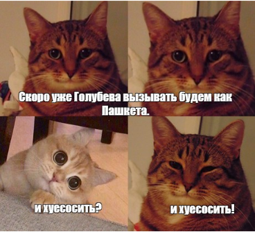 Голубов, бросай Пахачи и в Питер