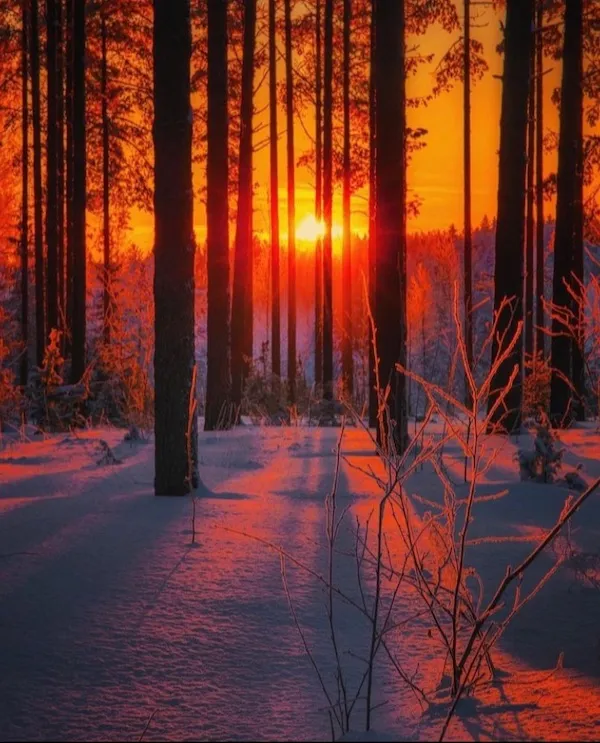ФотоВинегрет
