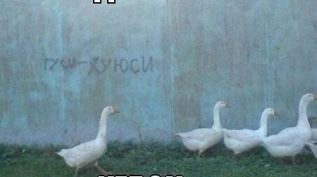 Завалялось тут случайно немного забавных картинок