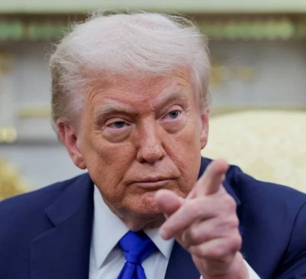 «Тихо! Тихо, свинка».