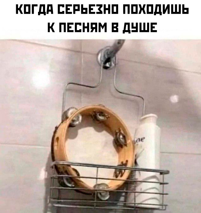 20608216.jpg