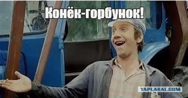 Идиот прыгнул на батут из колючей проволоки