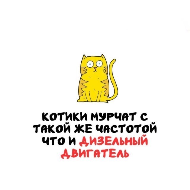 Интересные и короткие факты на все случаи жизни 19.04.26