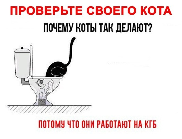 Картинки для деградации 187 (разной степени свежести