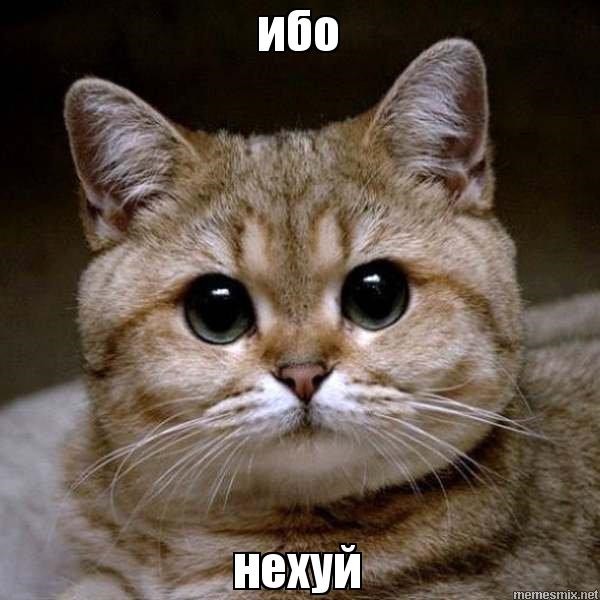 Будьте осторожны в пятницу ☝️