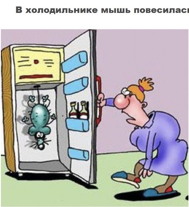Пришла идея