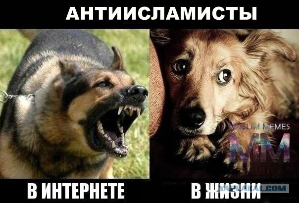 Намаз в автобусе