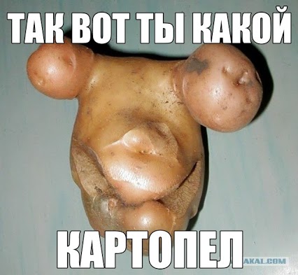 Русский язык