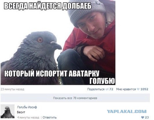 Приколы и маразмы 2
