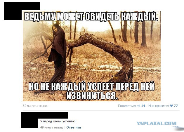 Смешные комментарии из социальных сетей