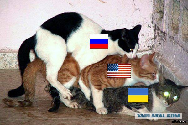 Чуркин снова неподражаем