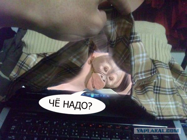 Как ботаны узнают, что у девушки под юбкой...