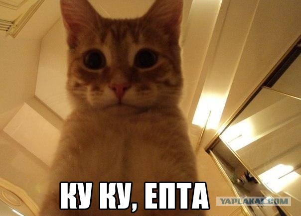 Небольшая подборка фото