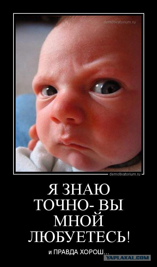 Смешное из сети