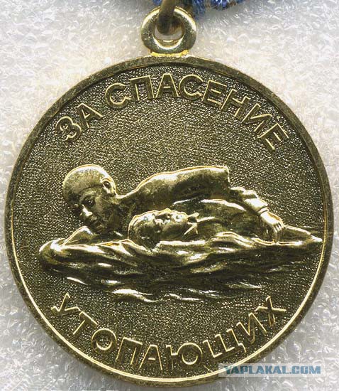 Велосипедисты спасли кабана из канала