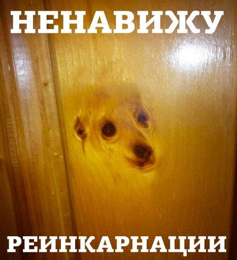 Картинки и демотиваторы