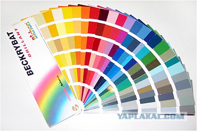 Эти странные, странные ёжики