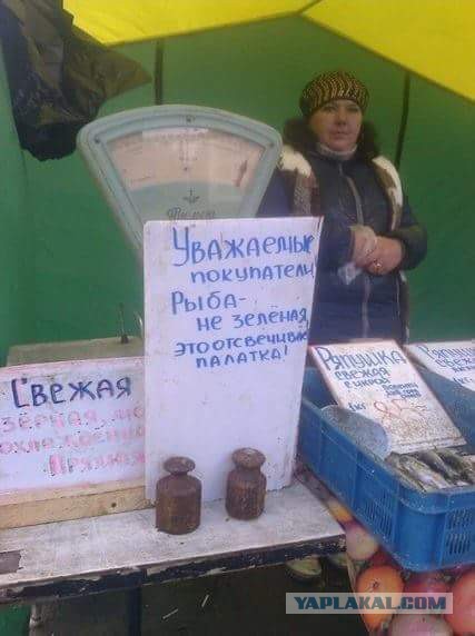 Фотоприколы