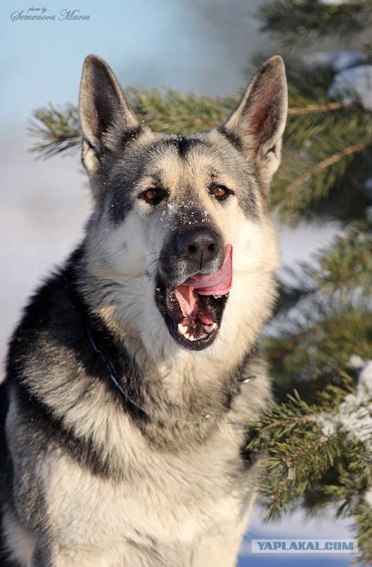 Разрядка. Подборка несерьезного