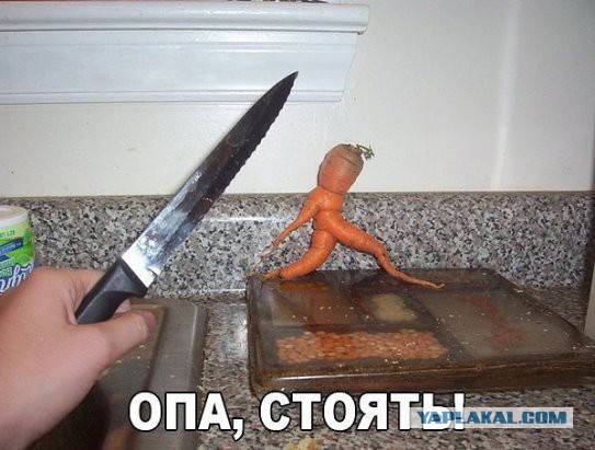 Подборка идиотских фотографий часть 2