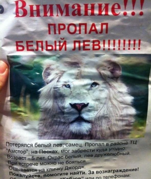 Забавные картинки из Сети