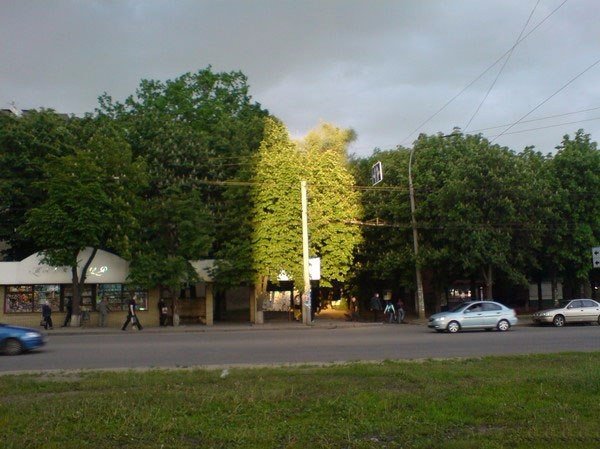 Весёлые картинки для настроения