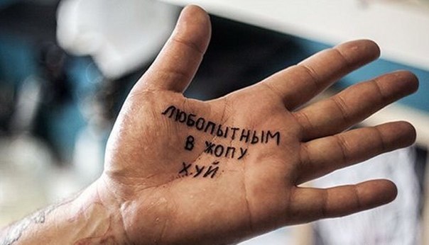 Ученые впервые выяснили точный состав человеческих фекалий