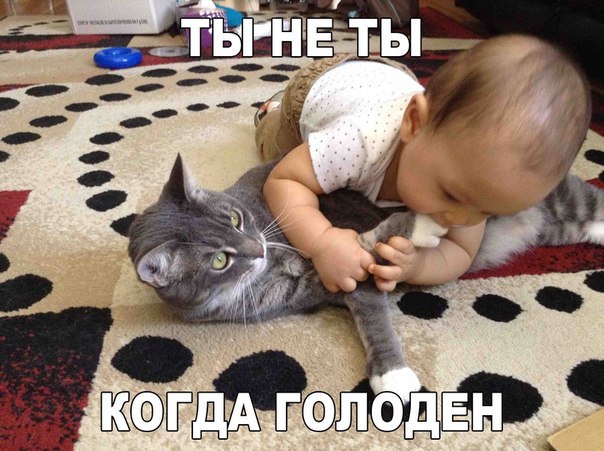 Подборка картинок ...