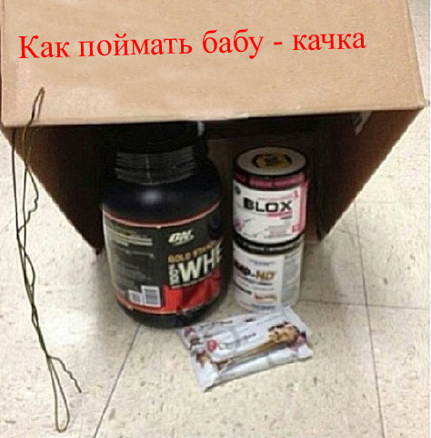 Об очень сильных женщинах. Которые и коня со слоном на скаку, и прочее...