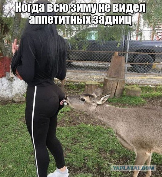 Подборка интересных и веселых картинок